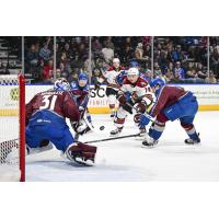 Tucson Roadrunners defenseman Artem Duda scores his fourth goal of the season