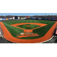 Fairfield Properties Ballpark, home of the Long Island Ducks