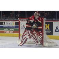 Grand Rapids Griffins goaltender Jan Bednar