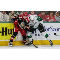Grand Rapids Griffins battle the Texas Stars