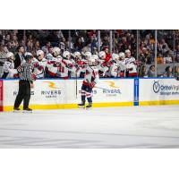 South Carolina Stingrays Weekly forward Lynden Breen
