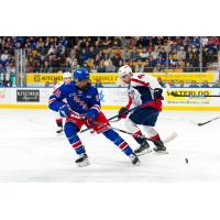 Kitchener Rangers defenceman Jacob Xu eyes the puck