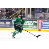 Florida Everblades forward Jesse Lansdell