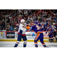 South Carolina Stingrays fight with the Orlando Solar Bears