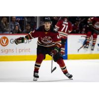Tucson Roadrunners forward Miko Matikka