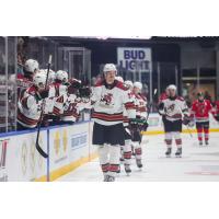 Tucson Roadrunners exchange fist bumps along the bench