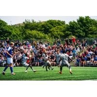 Ben Marsh (centre) celebrates scoring for Wanderers U21