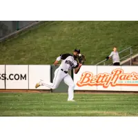 Isiah Gilliam of the Kansas City Monarchs makes a catch
