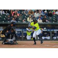 Brennon McNair of the Columbia Fireflies