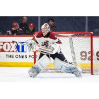 Tucson Roadrunners goaltender Matthew Villalta