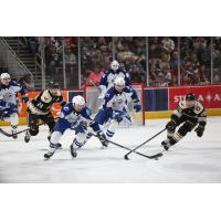 Syracuse Crunch left wing Daniel Walcott (left) reaches for a puck vs. the Hershey Bears