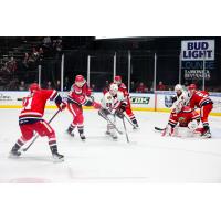 Grand Rapids Griffins defense protects the net against the Rockford IceHogs
