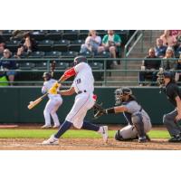 Tri-City Dust Devils outfielder Randy De Jesus at bat