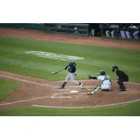 Alexander Vargas of the Somerset Patriots at bat