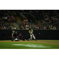 Biloxi Shuckers at bat against the Columbus Clingstones