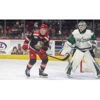 Grand Rapids Griffins center Sheldon Dries vs. the Texas Stars
