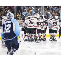 Rockford IceHogs celebrate their overtime win